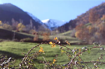 Parque Natural de Somiedo. Camino de la braa de la Pornacal