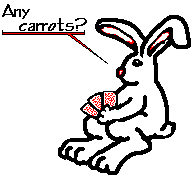Richelle's go-fish-playing rabbit
