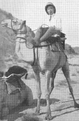 [Katz 1936]