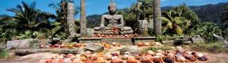 [Buddh]