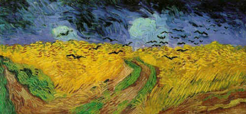 Wheat Field Under Threatening Skies