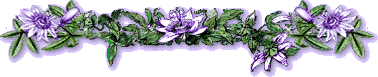 passionbar.gif (13331 bytes)