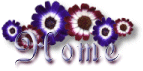 PGINA PRINCIPAL