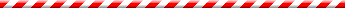 blue_bar.gif (495 bytes)