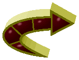 c_arrow.gif (17492 bytes)