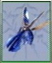 FF8 Monster 103