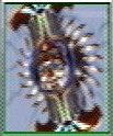 FF8 Monster 205