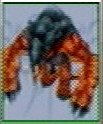 FF8 Monster 302