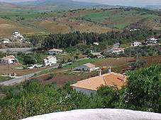 finc5.jpg (9781 bytes)
