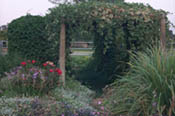 Gourd trellis