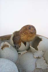 Hatching dinosaur eggs