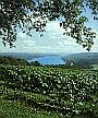 I love NY Finger Lakes Region