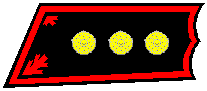 Captain - Coastal Artillery