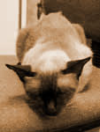 F_I
