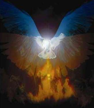 phoenix rising