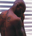 Galleria - fblk8.gif