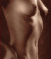 Galleria - fireTnA69.gif