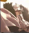 Galleria - firebw16.gif