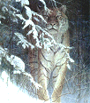 Galleria - firecw41.gif