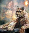 Galleria - firecw76.gif
