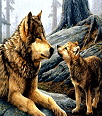 Galleria - firecw87.gif