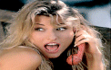 Galleria - firewide24.gif