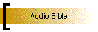 Audio Bible
