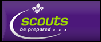 UK Scouts Button