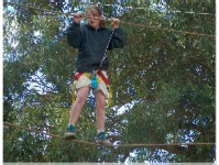Monkey Bridge