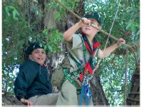 Monkey Bridge