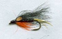 Dovey Black and Orange Fly.