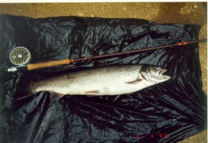 6lb 12 oz sewin