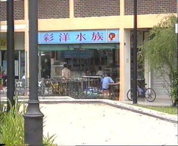 Cha Yang Aquarium - Blk 526 Jurong West St 52  #01-323 (near Rulang Pri School & Jurong Spring CC!)