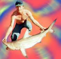 blacktip
