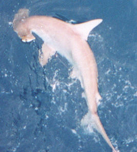 released