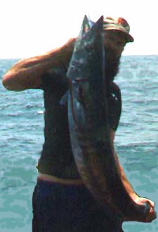 Capt.Howard_hoo