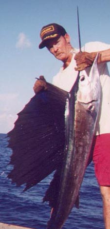 Sail"RELEASED"