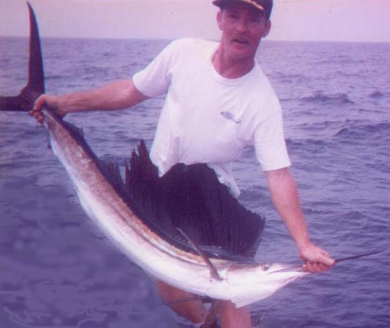 Sailfish