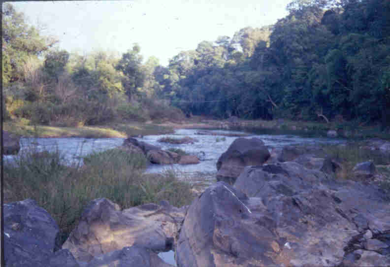 Waterscapes