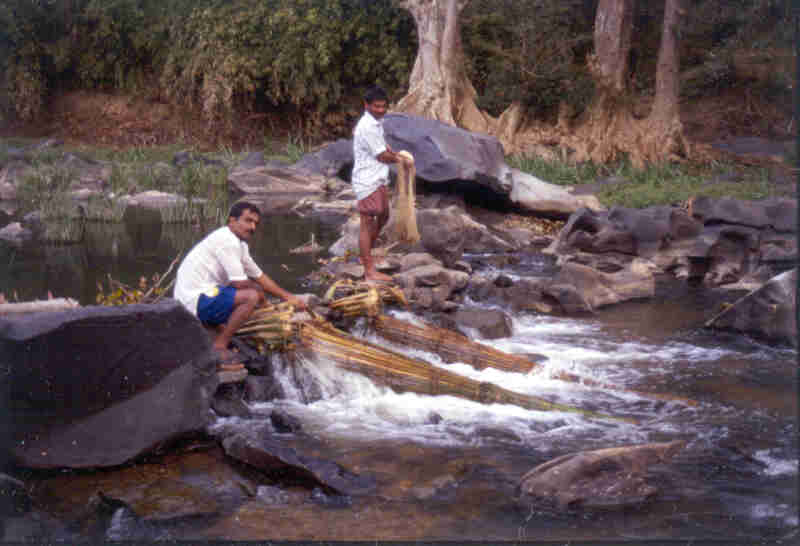 Fishing using baskets