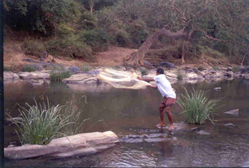 ..with cast nets..