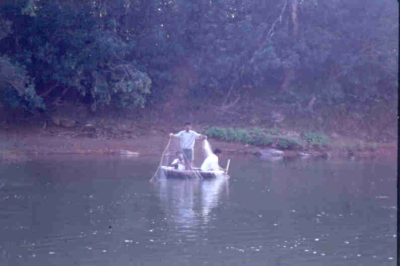 with gillnets..
