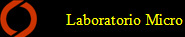        Laboratorio Micro