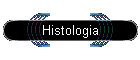 Histologia