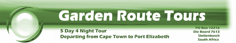 5 Day 4 Night Garden Route Tours from Cape Town to Port Elizabeth