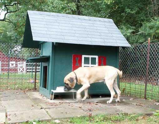 Sam and House