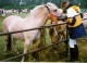 Thumbs/tn_KEURING2.jpg