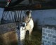 Thumbs/tn_KOOT16.jpg