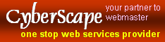 cyberscape