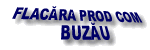 .:: FlacaraProdCom Buzau ::. www.flacara.go.ro www.oocities.org/flacaraprodcom